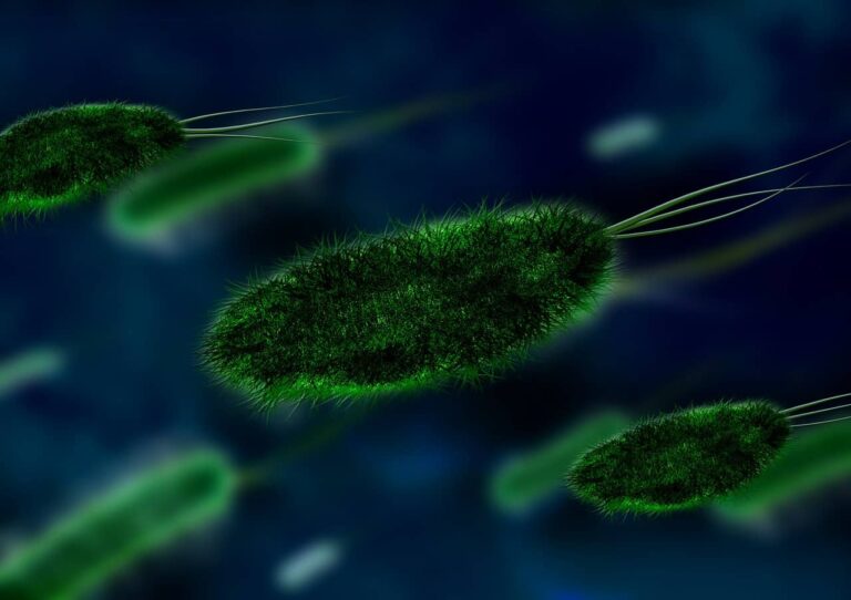 a group of green plants floating in the air.