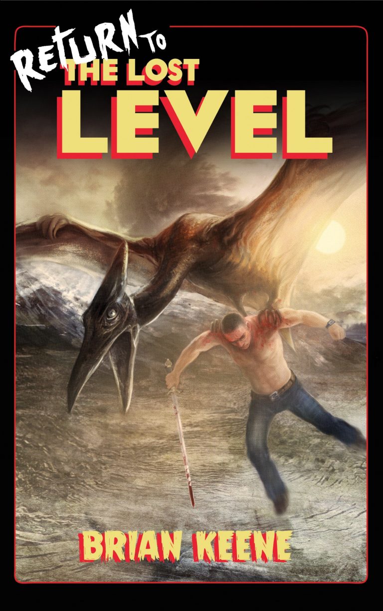 a book cover of return to the lost level.