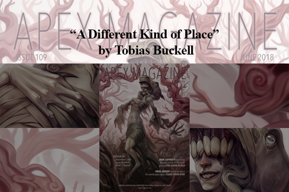 the cover of a different kind of place by tomas buckell.