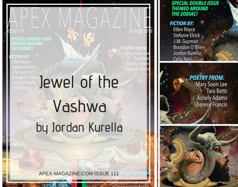 the cover of a magazine about the jewels of the vashwa.