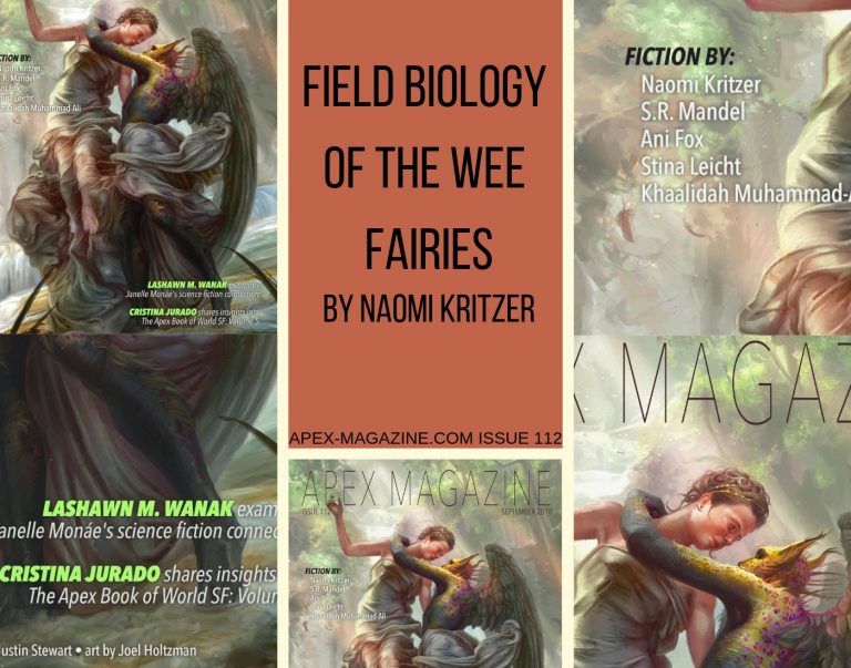 the cover of field biology of the weee faries.