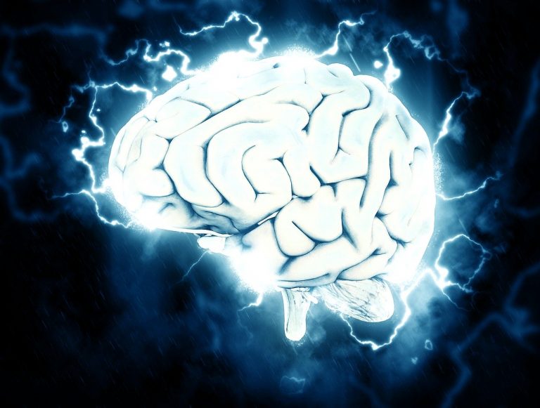 a computer generated image of a human brain.