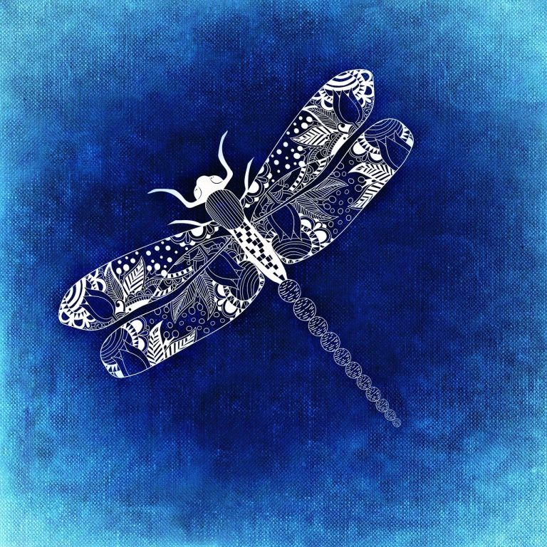 a drawing of a dragonfly on a blue background.