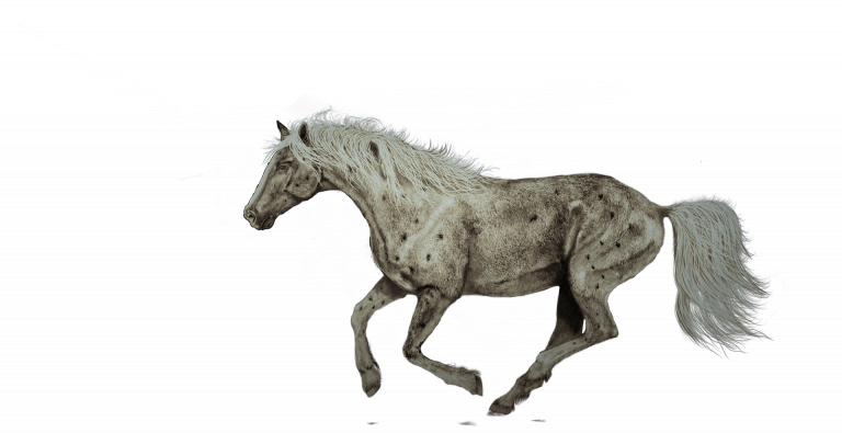 a drawing of a running horse on a green background.