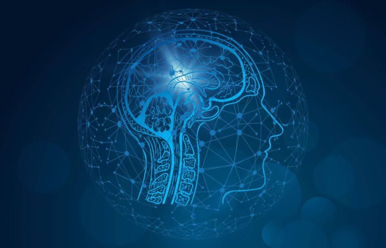a blue graphic of a human head with a brain in the center.